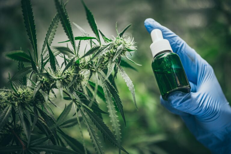 ¿Cuál es el precio del Aceite de Cannabis?